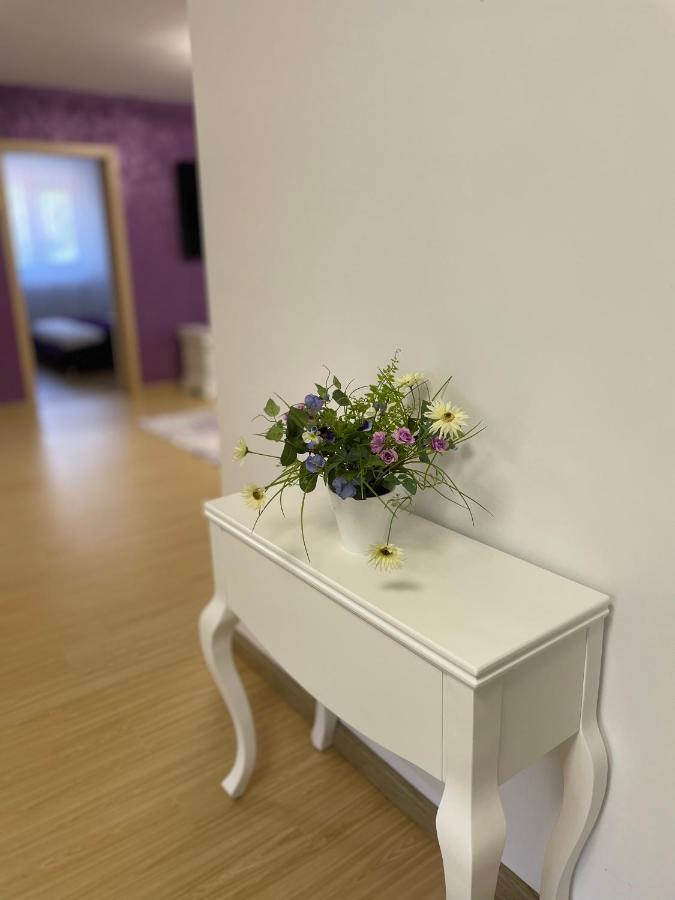 Bibis Apartments Nehoiu Dış mekan fotoğraf