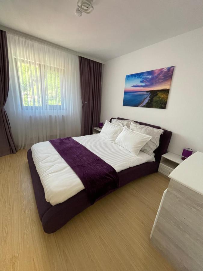 Bibis Apartments Nehoiu Dış mekan fotoğraf