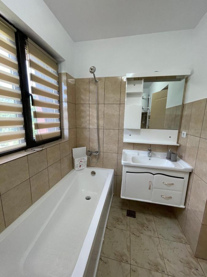 Bibis Apartments Nehoiu Dış mekan fotoğraf