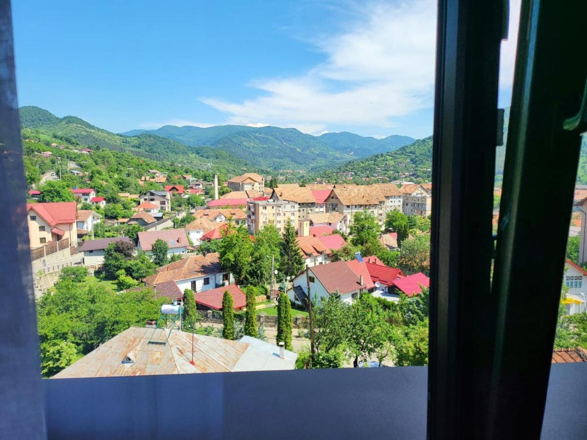 Bibis Apartments Nehoiu Dış mekan fotoğraf