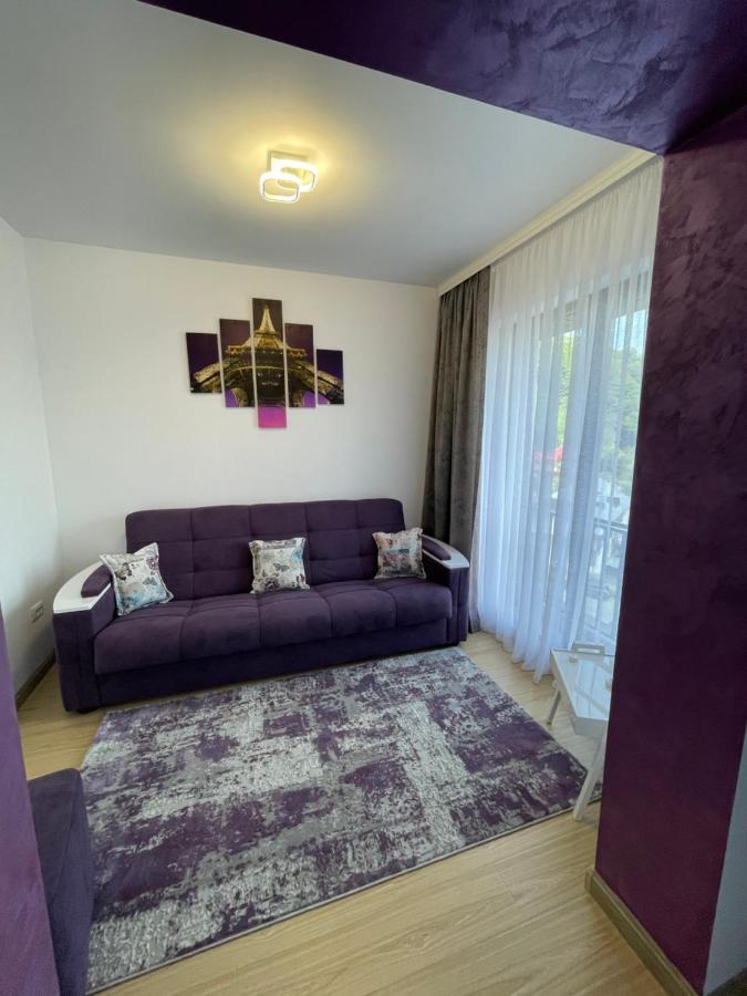 Bibis Apartments Nehoiu Dış mekan fotoğraf