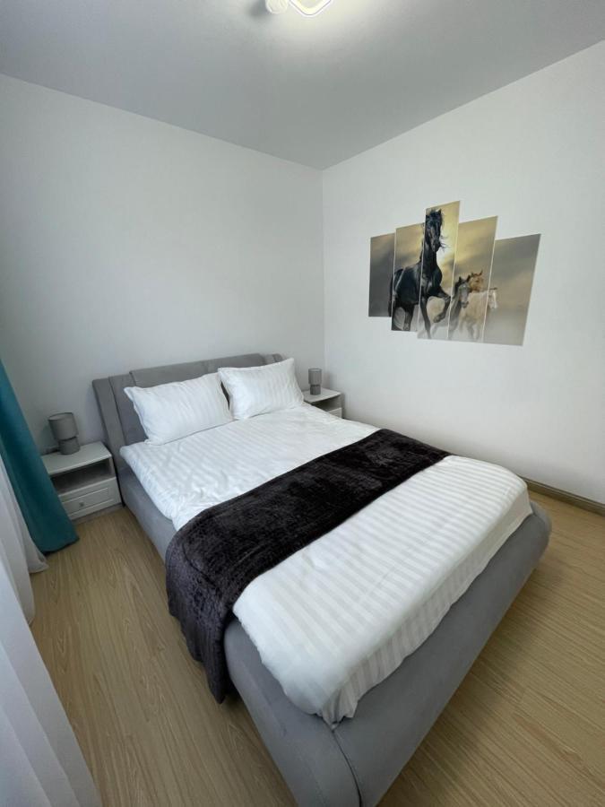 Bibis Apartments Nehoiu Dış mekan fotoğraf