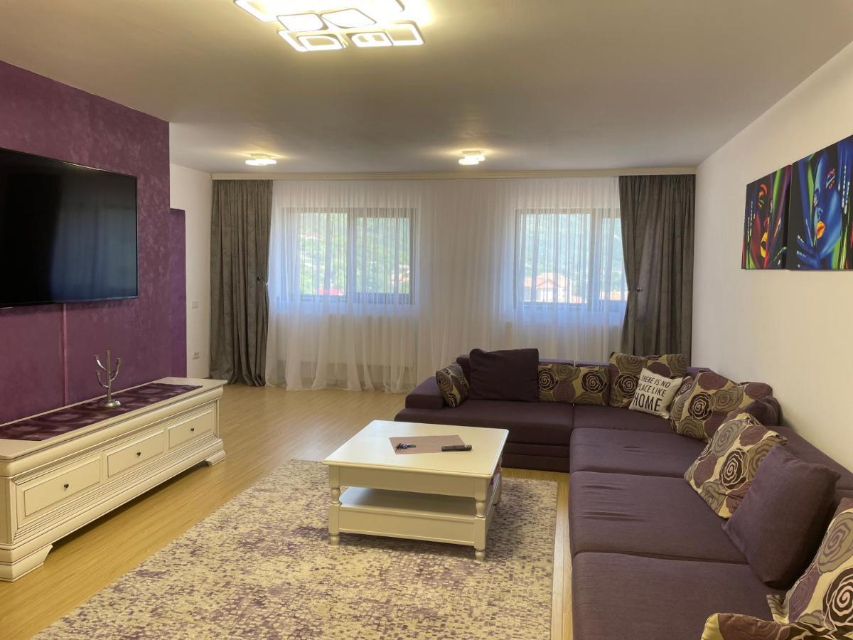 Bibis Apartments Nehoiu Dış mekan fotoğraf